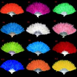 Feestbenodigdheden Nieuw aankomen Soft Fluffy Burlesque Wedding Hand Fancy Dress Kostuum Dance Feather Fan SN4799