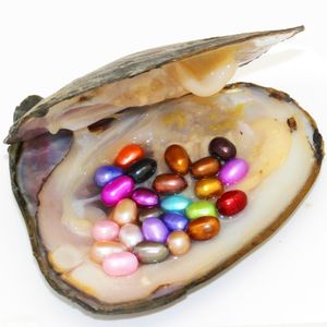 Party Surprise Gift 6-8mm Natuurlijke Verse Ovale parel in Oyster Shell 25 Gemengde kleuren, vacuümverpakkingspot Groothandel (gratis verzending)