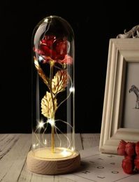 Party Wedding Valentine Gift Rose in Glass Dome Beauty Rose Forever Preserved Special Special Romantic Gift6948800