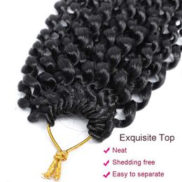 Passie twisthaar 18 inch passie Twist Haakhaar voor zwarte vrouwen Water Wave Haakhaak vlechten Haarextensions Factory Direct