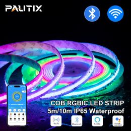 PAUTIX 5/10M Adresable COB RGBIC LED Strip IP65 Waterdicht DC 12V/24V 630 LED's/M Hoge dichtheid Flexibele full -color voor decor