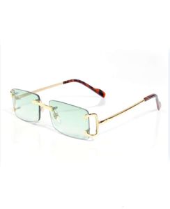 PAWES Lunettes encadrer les lunettes de soleil Gold Rimless Eyeglasses pour l'homme Réflexion Clean Prescription Spectacles 98015610925