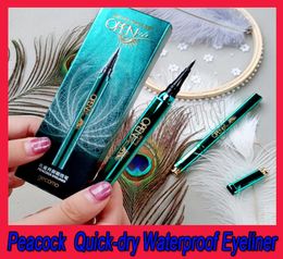 PEACOCK Eyeliner crayon Liquid Eye Liner Antifroproof Antisweat durent pas étourdi eye-liner de luxe de luxe Cool Black8964595