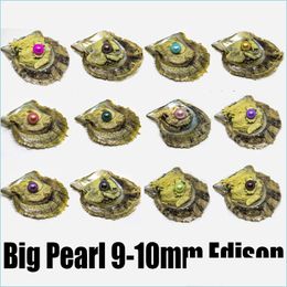Huître perlée avec perle grande ronde dans les huîtres Colorf Edison Pearls 9-10 mm à ouvrir à la maison emballée sous vide Drop Delivery 2021 Bijoux MJ Dh8Mv