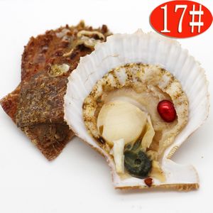 Pearl Party Surprise Gift Saltwater Red Shell Oysters met 6-8mm ellips verven zoetwaterparels Vacuümverpakking