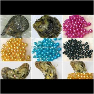 Perla gemelos al por mayor 25 colores de 6-7 mm perlas gemelas en ostras de agua salada akoya con doble amor regalos de entrega de entrega joya dh7se