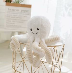Peluche Bebe Octopus Peluches peluche Animal Toyo de peso Caterina animal Huggy Wuggy Toy Toy Plush Animal Subshy Gift Christmas Regalo Palopus Palacal