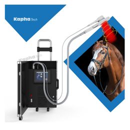 Dispositif PEMF pour chevaux Maladies chroniques Thérapie magnétique équine avec fréquence 3000Hz