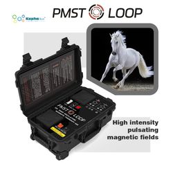 Machine de physiothérapie magnétique équine de thérapie PEMF pour prévenir les maux de dos du cheval