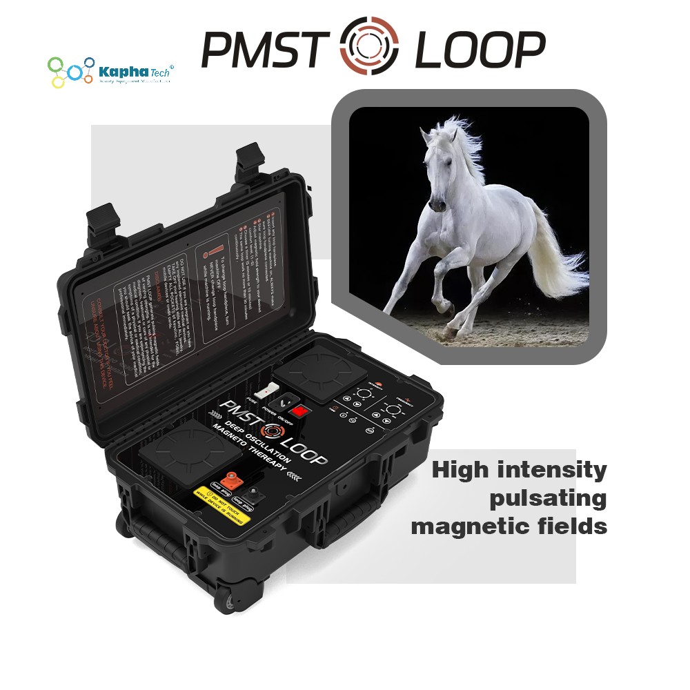 Máquina de fisioterapia magnética equina para terapia PEMF para prevenir dores nas costas do cavalo