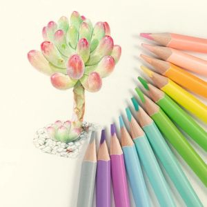 Potloden 12/24 Colos Macaron Pastel Colored Pencils Professional Traject Set voor kunstschoolbenodigdheden