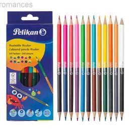 Crayons 24 Couleurs à tête double crayon adapté aux enfants Sketching professionnel des enfants Sketching et Advanced Art Supplies Art Supplies D240510