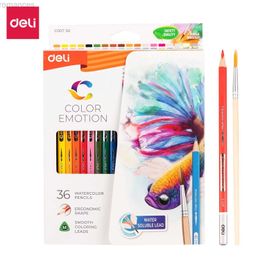 Crayons Deli Aquarelle crayon 24/12/36 Couleur Brush Art Ensemble pour le dessin pour enfants Sketting Watercolor Pen Set D240510