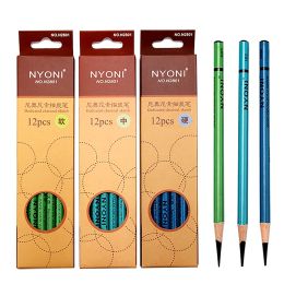 Crayons nyoni 12pcs professionnels du charbon de bois crayons crayons de carbone dur / moyen / doux pour dessiner des fournitures d'art à outil de dessin