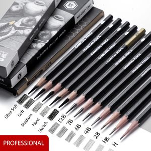 Crayons Professionnel 2H HB B 2B 3B 4B 6B 8B 12B 14B Croquis Dessin Graphite Charcoal Pencils Set Dessin Esquisse pour Artistes Débutants 230807