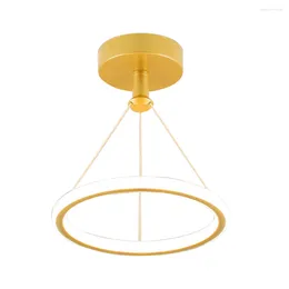 Lampes suspendues LED lustre creux économie d'énergie suspendu lumière intérieure dimmable en fer forgé protéger les yeux pour le couloir d'allée