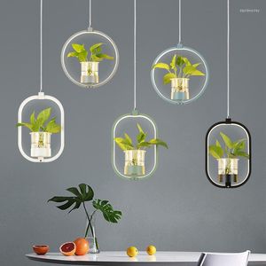 Lampes suspendues nordique plante lustre personnalité créative Restaurant boutique Commercial Style industriel décoration acrylique barre petit