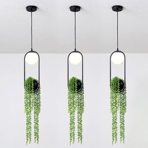 Pendelleuchten Nordic Pflanzenlichter Schwarz Kreative Eisen Glas Lampenschirm Droplight LED Kronleuchter Loft Hängelampe