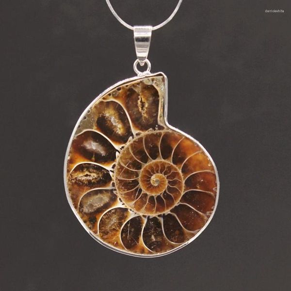 Collares pendientes 100-Unique 1 Pcs Chapado en plata Forma irregular Ammonite Reliquiae Joyas personalizadas