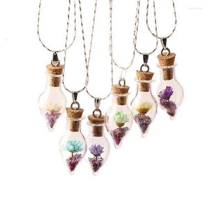 Pendentif Colliers 10pcs Lucky Beads Petite Marguerite Fleur Coeur Forme Verre Fiole Collier Bulle Globe