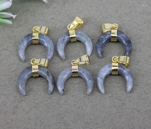 Hangende kettingen 10 stks klein formaat natuurlijke labradoriet halve maan kralen charme gemiddelde dubbele hoorn voor het maken van sieraden