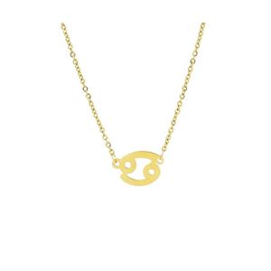 Hangende kettingen 12 constellatie ketting Zodiac Sign roestvrij staal goud verjaardagscadeau voor vrouwen meisje groothandel sieraden 68 drop dh8lz