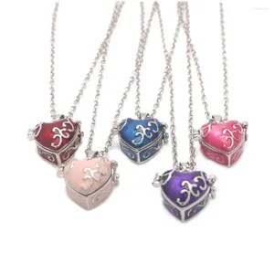 Pendentif Colliers 1pcs Red Love Pet Ash et cheveux Collier commémoratif Vintage Brass Dropping Colle peut ouvrir