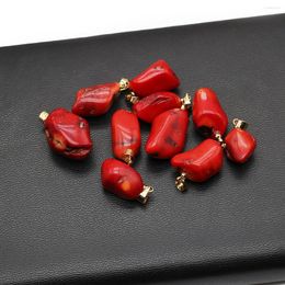 Collares colgantes 2 unid lindo coral rojo irregular mar bambú encantos para joyería de moda haciendo bricolaje collar de mujer pendiente artesanías