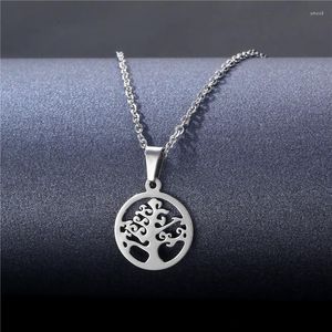 Pendentif Colliers En Acier Inoxydable 316L Collier Arbre De Vie Rond Bijoux Collier Élégant Femmes Fille Bijoux Cadeaux