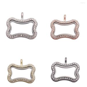 Pendentif Colliers 5 Pcs Chien Os Verre Mémoire Médaillon Image Vivant Flottant Médaillon Pour Les Femmes Relicario Charmes Fabrication de Bijoux