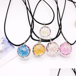 Colliers pendentifs 9 couleurs fleur séchée ras du cou pendentif colliers pour femmes filles en cuir noir corde chaîne boule de verre charme collier Pi Dhz4K