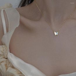 Colares de pingente de concha de acrílico colar de borboleta branca para mulheres ins cor de ouro clavícula corrente elegante festa jóias presentes