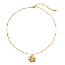 Collares colgantes ALLME Concha metálica única en forma de concha para mujeres Niñas Gargantilla de acero inoxidable chapada en PVD de oro de 18 quilates sin deslustre