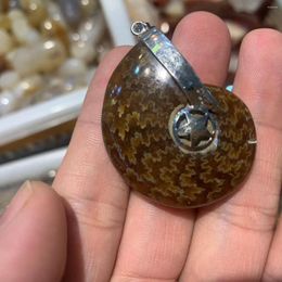 Colliers pendentifs en pierre d'ammonite, collier de pierres précieuses naturelles, pendentifs pour hommes et femmes, cadeau, vente en gros!