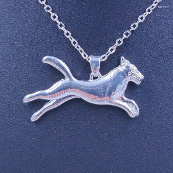 Pendentif Colliers Belge Malinois Collier Chien Animal Or Argent Plaqué Bijoux Pour Femmes Homme Femme Filles Dames Enfants Garçons N148