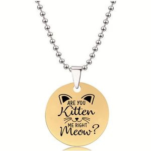 Pendentif Colliers BLINGPAW Collier En Acier Inoxydable Are You Kitten Me Right Meow Porte-clés Sac Ornements Tag Or Argent Noir