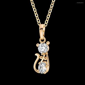 Pendentif Colliers Chat Chaton Mignon Collier Pendentifs Pour Femmes En Acier Inoxydable Or Rose Couleur Chaîne Cubique Zircone Bijoux