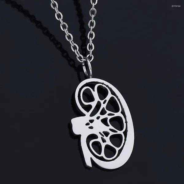 Pendentif Colliers Catuni Rein Anatomie Collier Argent Plaqué Simple Orgue Bijoux Cadeau Pour Médecins Infirmières Medico