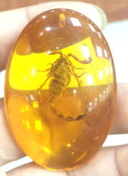 Pendentif Colliers Certificat Naturel Mexicain Ambre Cire D'abeille Scorpion 37 53 17mm