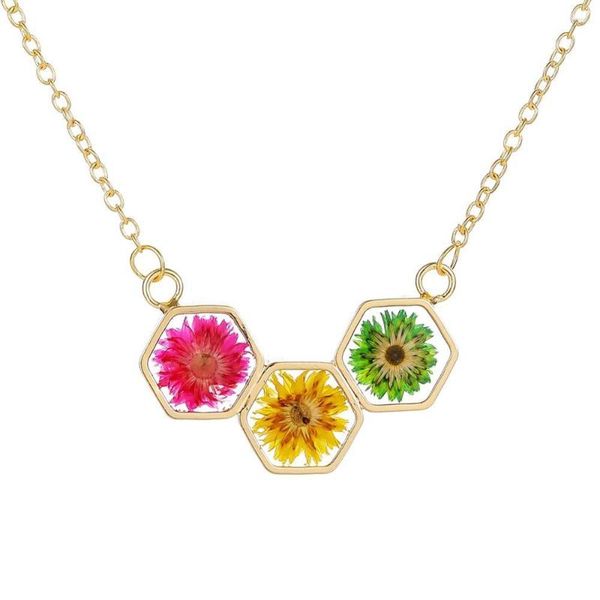 Collares con colgante, collar de flores secas hexagonales geométricas creativas, gargantilla de resina para mujer con espécimen de planta de amor