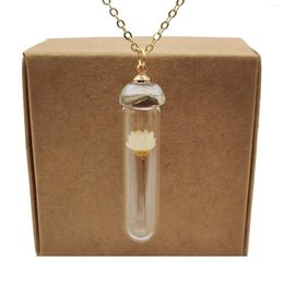 Pendentif Colliers Daisy Ivoire Véritable Fleur Transparent Bouteille En Verre Or Couleur Chaîne Long Collier Femmes Boho Mode Bijoux Bohème