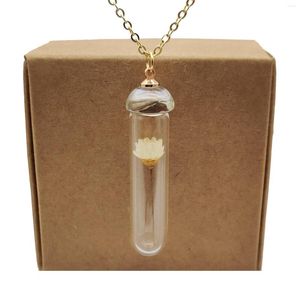 Pendentif Colliers Daisy Ivoire Véritable Fleur Transparent Bouteille En Verre Or Couleur Chaîne Long Collier Femmes Boho Mode Bijoux Bohème