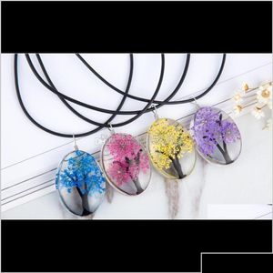 Colliers pendants Design Fleurs séchées Spécimens Plante Collier arbre de vie pour femmes avec chaîne de corde en cuir Fashion Ovale Verre Jewe Dhnme