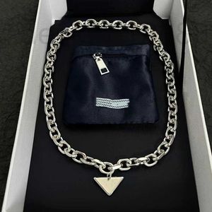 Hanger Kettingen ontwerper Nieuwe Trendy Omgekeerde Driehoek Teken Grove Ketting voor Mannen en Vrouwen Mode Gepersonaliseerd Ontwerp Gevoel Kraag Ketting MY1P