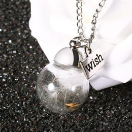 Pendentif Colliers Mode Lucky Wish Collier Graines De Pissenlit Naturel Dans La Chaîne De Bouteille En Verre Charmes Élégants Bijoux Femmes Cadeaux