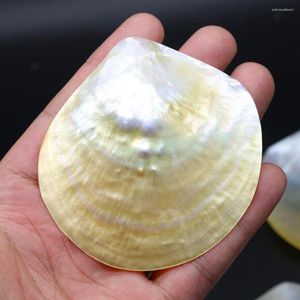 Pendentif Colliers Mode Naturel Shell Charmes Mère De Perle Mer Pas De Trou Pour DIY Collier Accessoires Fabrication De Bijoux Fournitures Cadeau