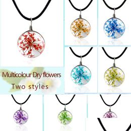 Pendentif Colliers Colliers De Mode Vraies Fleurs Sèches Collier En Cristal Verre Pendentifs Ronds Sier Chaîne Ras Du Cou Pour Les Femmes Drop Yydhhome Dhyxv