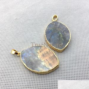 Pendentif Colliers Mode Ovale Labradorite Pendentifs Pour Faire Du Bricolage Or Galvanisé Feuille Unique Bail Charmes En 36 25 Mm Pm4324 Dro Dhkrv