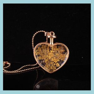 Collier de fleurs pendentifs coeur aromathérapie pendentif colliers bijoux fleurs sèches par flacon bouteille livraison directe Jewe Dh4Vz