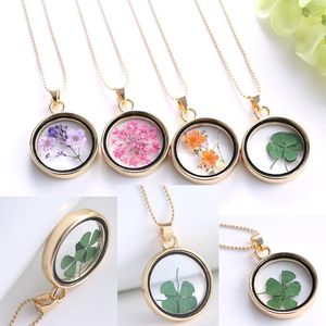 Hanger kettingen glas charmes ketting gedroogde bloem echt droge ronde medaillet gouden ketting voor vrouwen sieraden mode